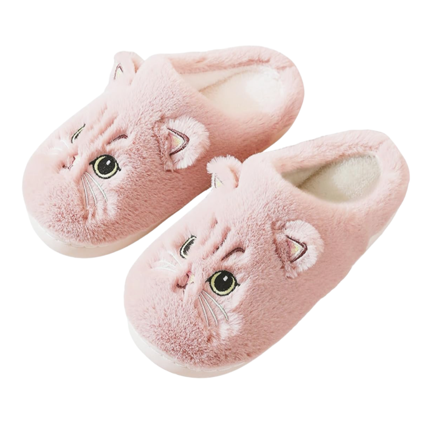 Cat Slippers